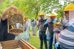 Uczestnicy ŚDS podczas warsztatów pszczelarskich "pod dębem" w Żalinie