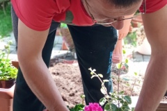 Uczestnik ŚDS sadzi kwiaty