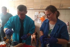 Uczestnicy ŚDS  podczas warsztatów cukierniczych obierają śliwki z pestek
